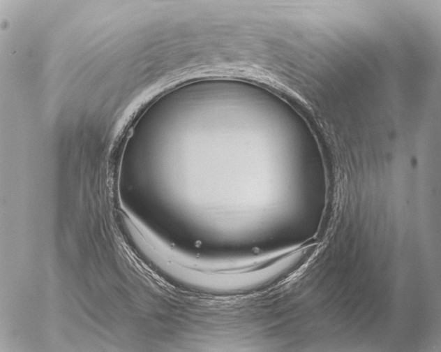 X0000053071506200508081206