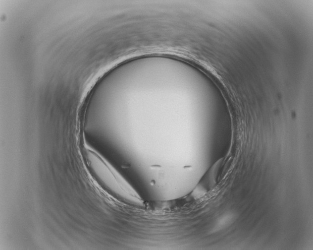 X0000053071508200508081206