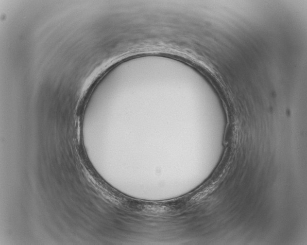 X0000053071509200508081206