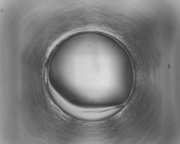 X0000053071510200508081206