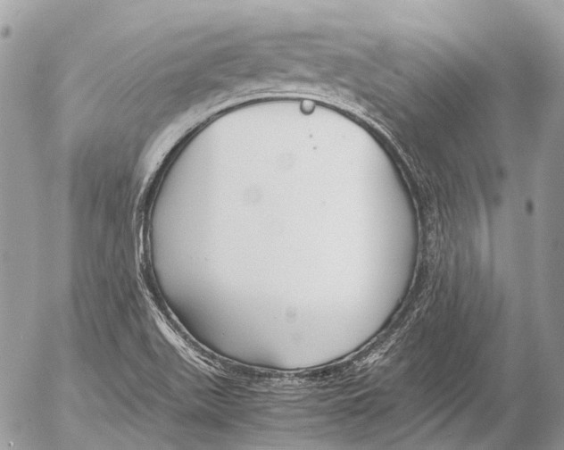 X0000053071511200508081206