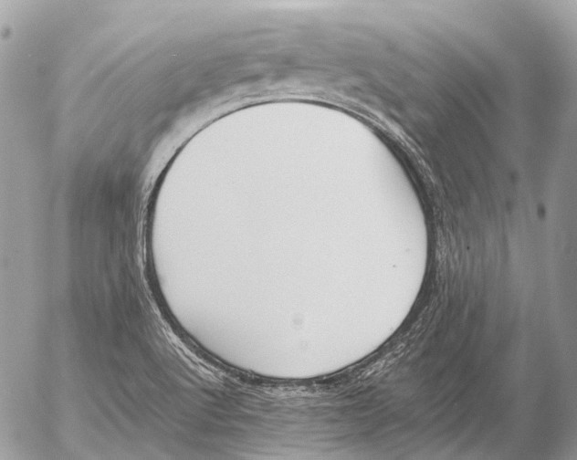 X0000053071512200508081206