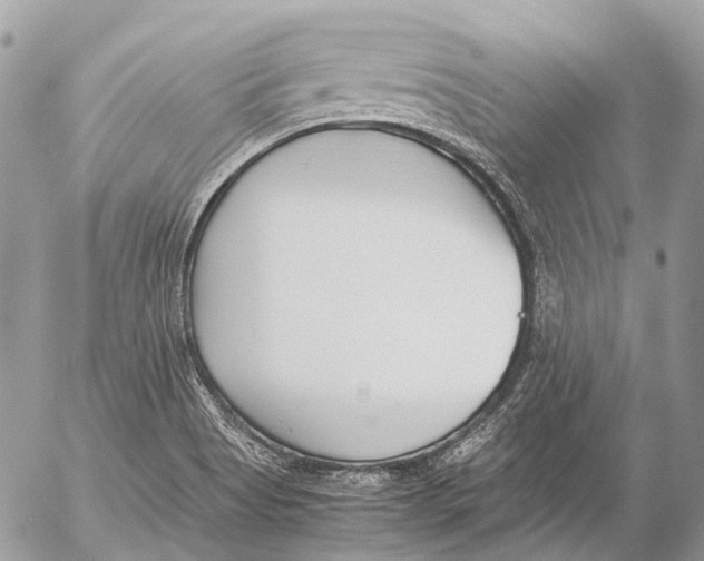 X0000053071513200508081206