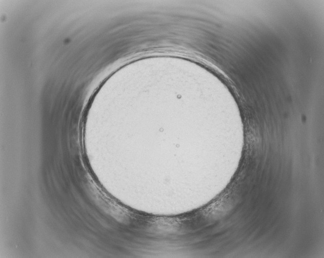 X0000053071514200508081206