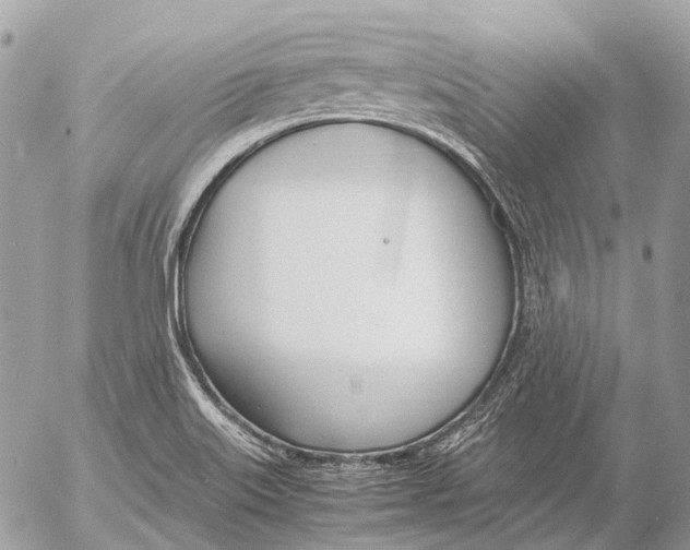 X0000053071515200508081206