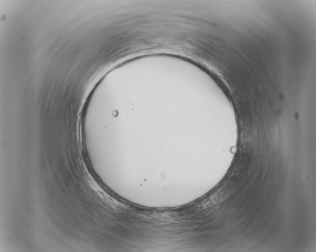 X0000053071516200508081206