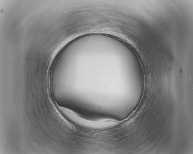 X0000053071517200508081206