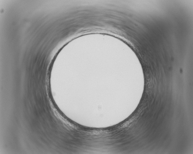 X0000053071518200508081206