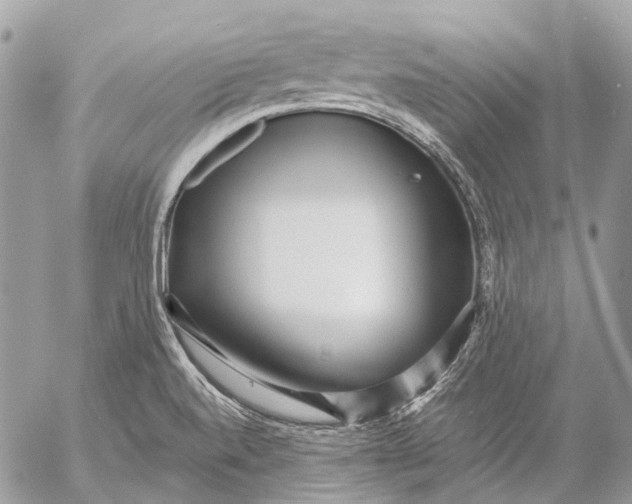 X0000053071520200508081206