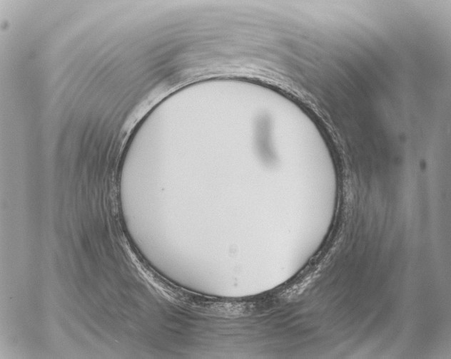 X0000053071521200508081206