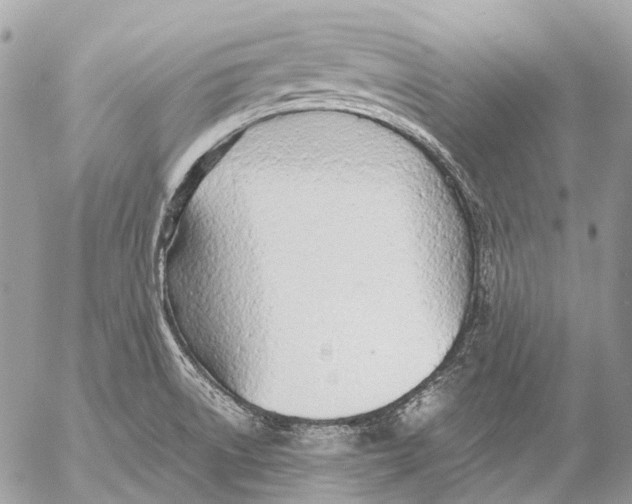 X0000053071522200508081207