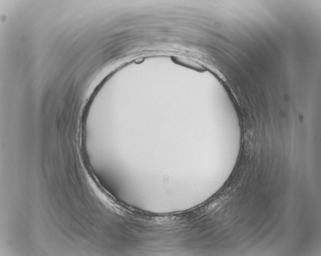 X0000053071523200508081207