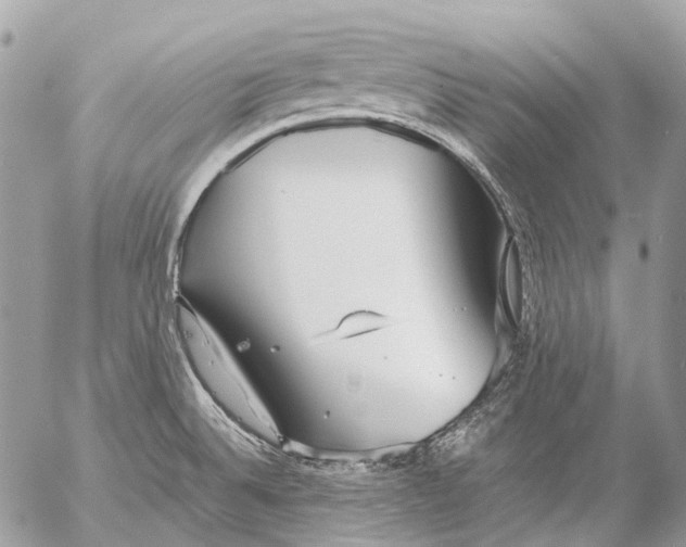 X0000053071524200508081207