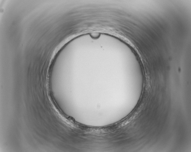 X0000053071525200508081207