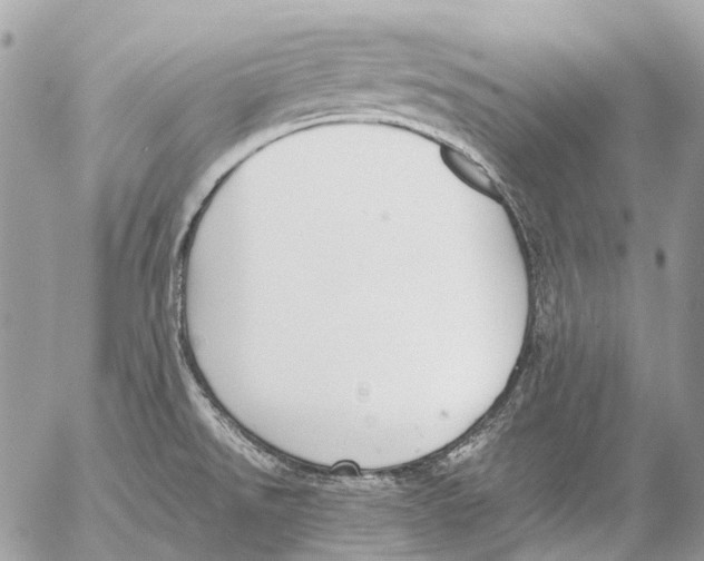 X0000053071526200508081207