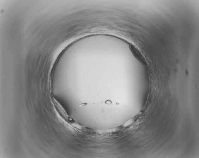 X0000053071527200508081207