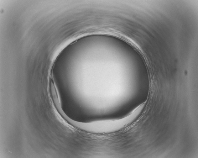 X0000053071528200508081207