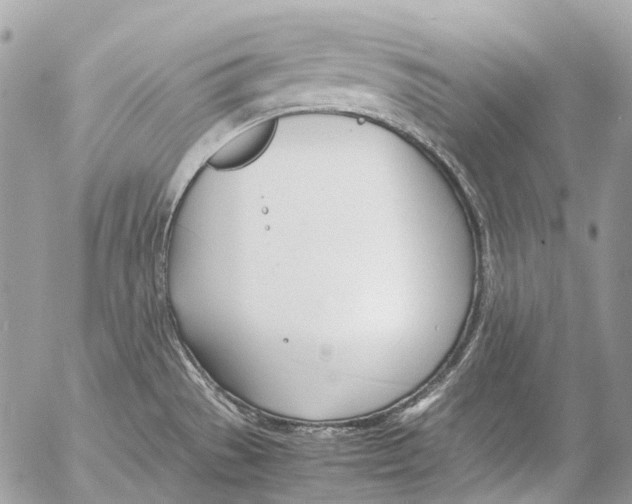 X0000053071529200508081207