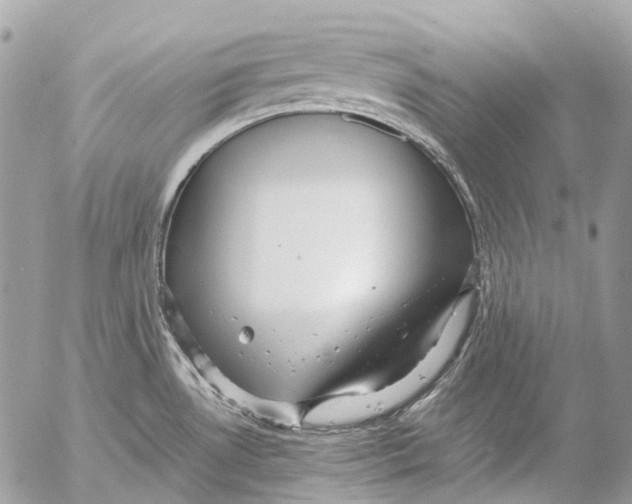 X0000053071530200508081207