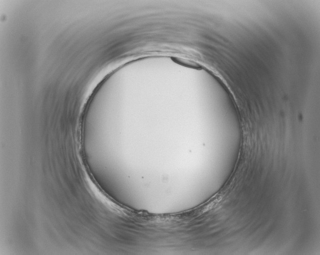 X0000053071531200508081207