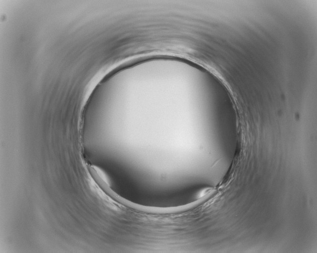 X0000053071532200508081207