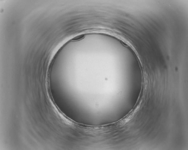 X0000053071533200508081207