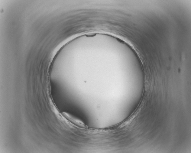 X0000053071534200508081207