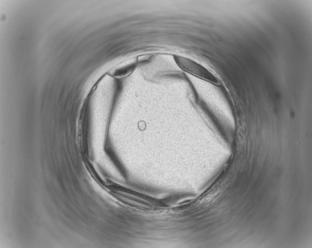 X0000053071535200508081207