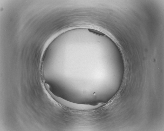 X0000053071536200508081207