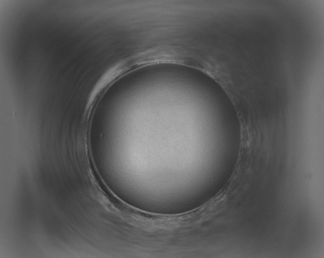 X0000053080004200507111256