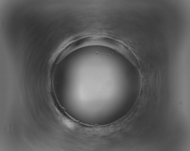 X0000053080005200507111256