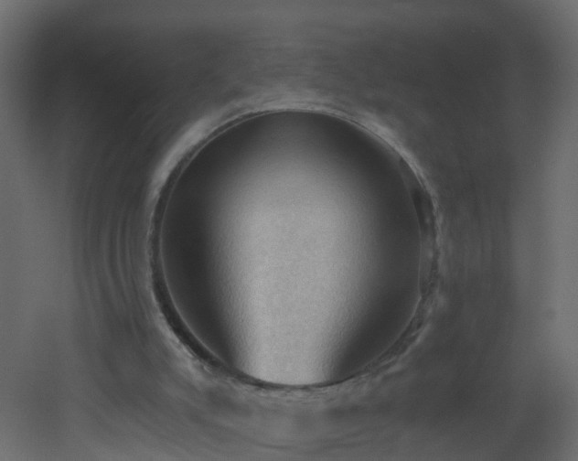 X0000053080007200507111256