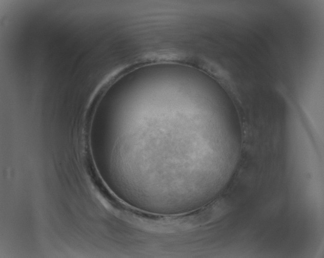 X0000053080012200507111256