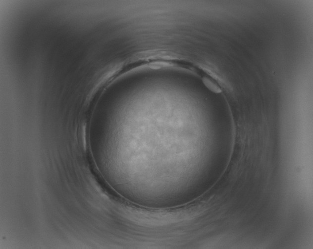 X0000053080014200507111256