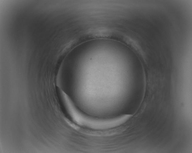 X0000053080017200507111256