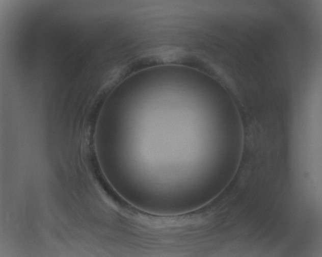 X0000053080018200507111256