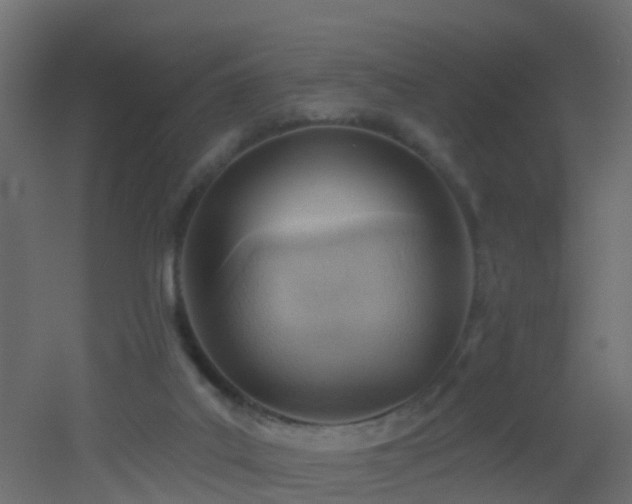 X0000053080019200507111256