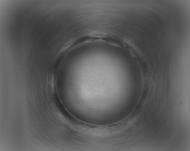 X0000053080024200507111256