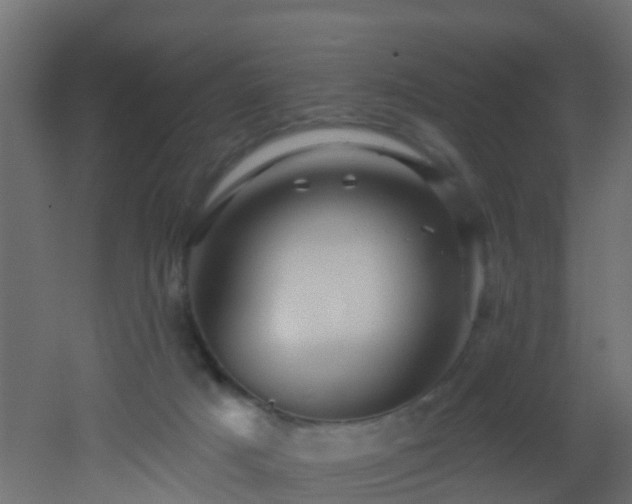 X0000053080025200507111256