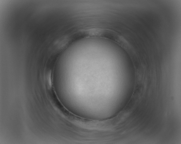 X0000053080028200507111256