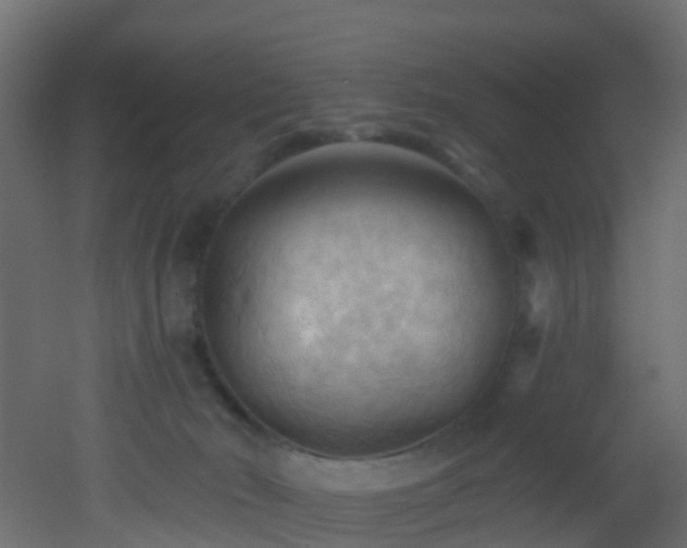 X0000053080030200507111256