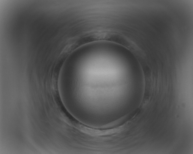 X0000053080035200507111256