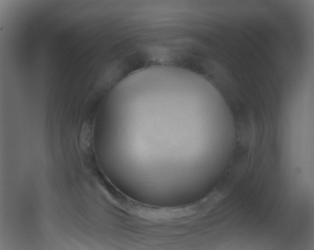 X0000053080036200507111256