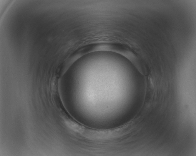 X0000053080037200507111256