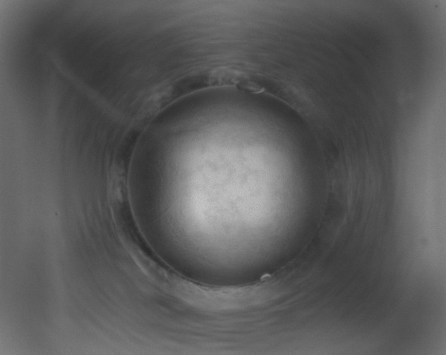 X0000053080038200507111256