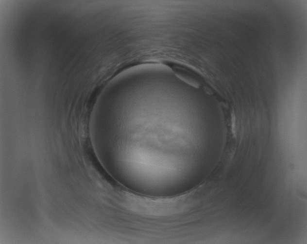 X0000053080039200507111256