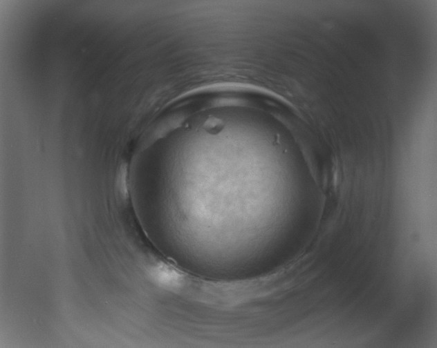 X0000053080041200507111256