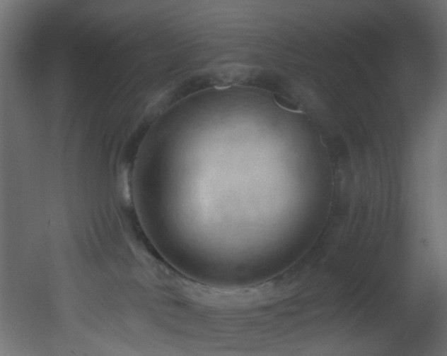 X0000053080042200507111256