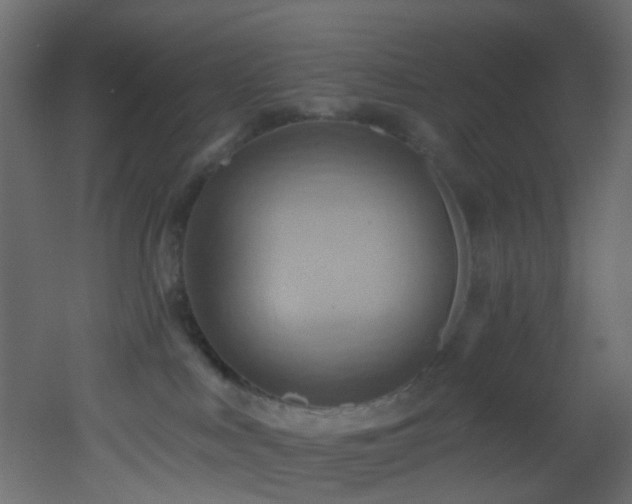 X0000053080043200507111256