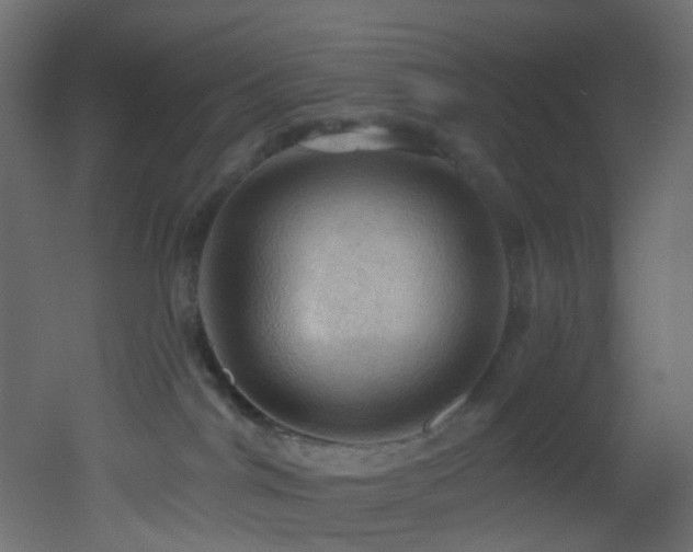 X0000053080044200507111256